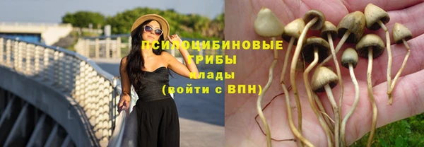 мяу мяу мука Нефтегорск