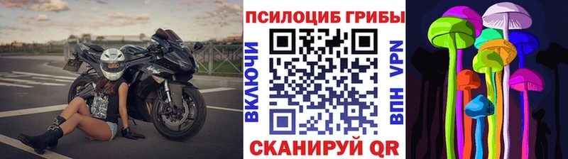 где купить наркотик  Полысаево  площадка формула  Галлюциногенные грибы ЛСД 