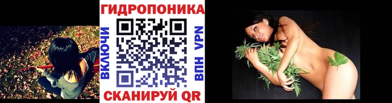 Бошки Шишки Amnesia Полысаево